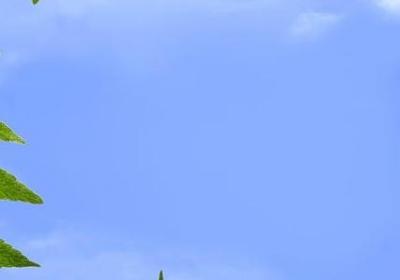 节奏欢快的励志歌曲(80句) 节奏欢快的励志歌曲(80句)