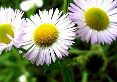 考试励志语录(汇总70句) 考试励志语录(汇总70句)