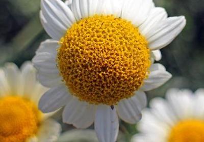 经典语录励志人生(实用50句) 经典语录励志人生(实用50句)