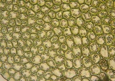 睡前励志小故事(优选10句) 睡前励志小故事(优选10句)