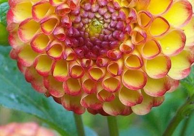 砥砺前行的励志古句(必备60句) 砥砺前行的励志古句(必备60句)