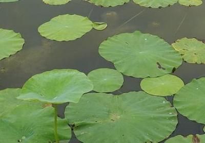 考试励志名言(热门60句) 考试励志名言(热门60句)