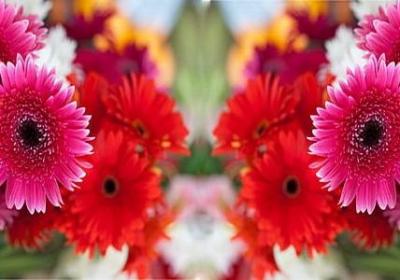 简短励志(共60句) 简短励志(共60句)