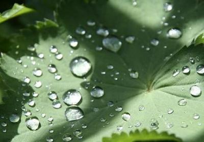 苏轼的故事励志故事(通用11句) 苏轼的故事励志故事(通用11句)