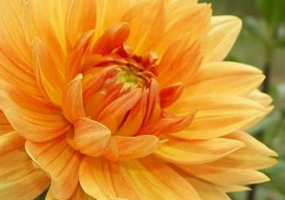 职场励志书籍(汇总40句) 职场励志书籍(汇总40句)