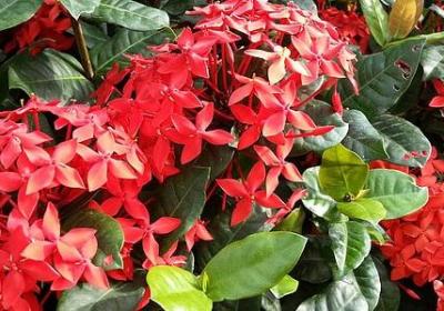 美言美句励志(必备80句) 美言美句励志(必备80句)