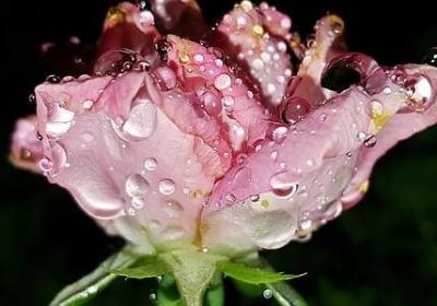 男生头像励志(50句) 男生头像励志(50句)