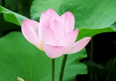 给8岁儿子的一封信励志(必备7句) 给8岁儿子的一封信励志(必备7句)