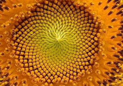 简单励志的个性签名(热门60句) 简单励志的个性签名(热门60句)