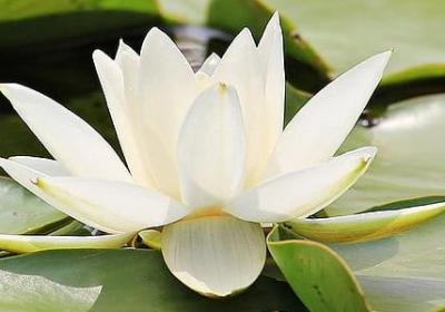 美术生励志语录(汇总50句) 美术生励志语录(汇总50句)