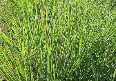 简短的励志故事(推荐50句) 简短的励志故事(推荐50句)