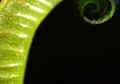 给孩子的励志名言(共40句)