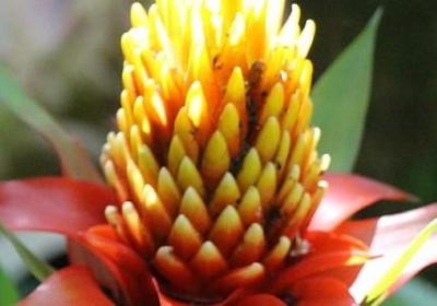 关联词的句子(通用15句)