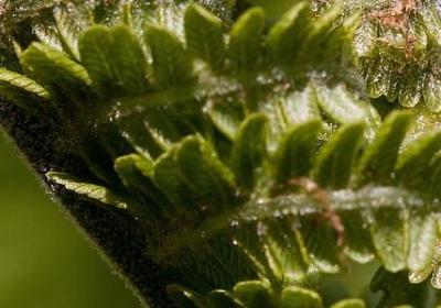 英语名言警句励志(汇总81句)
