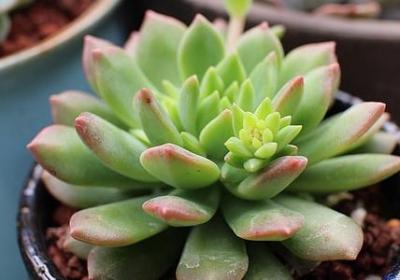 英语励志名言短句霸气(40句)