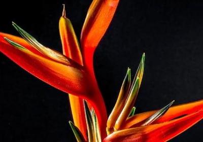 再也回不去的曾经句子(80句)