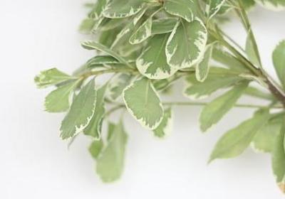 英文电影励志(推荐20句)