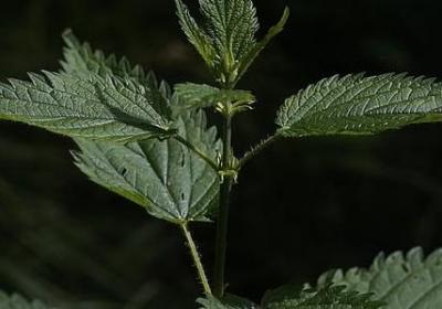 适合高考看的励志电影(11句)