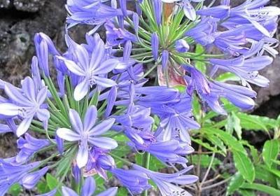 冰封自己的心的句子(汇总70句)