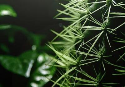 青年励志诗句(通用70句)