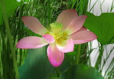 销售励志小故事及感悟(精选10句)