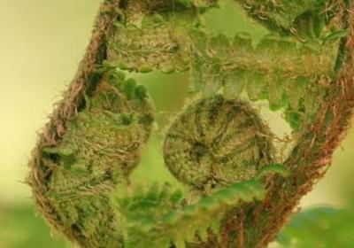 雨后见彩虹励志句子(必备40句)