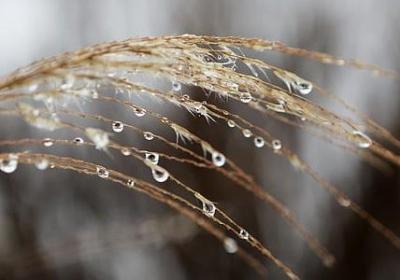 饶雪漫经典语录励志(优选71句)