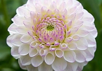 列图表的句子(通用40句)