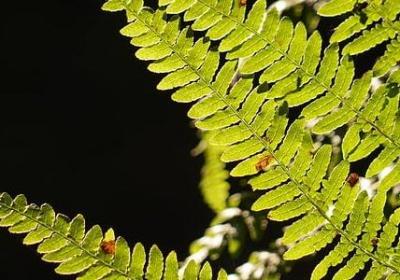 高考励志的句子简短(50句)