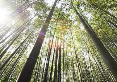 高中励志口号(60句)