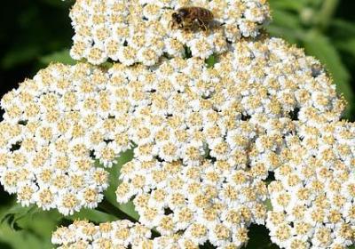 粉丝送给主播的祝福语(精选40句)