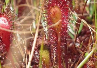 反讽的句子(推荐16句)