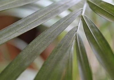 群发祝福语(优选48句)