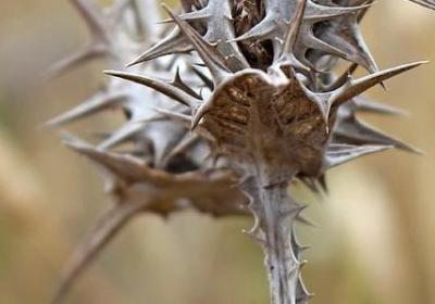 老师六十大寿祝福语(必备60句)