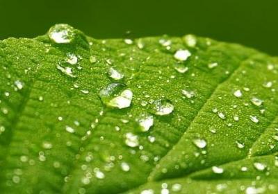 老同学祝福语(通用60句)