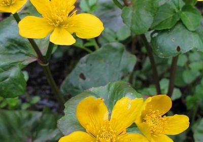 给部长的祝福语(汇总57句)