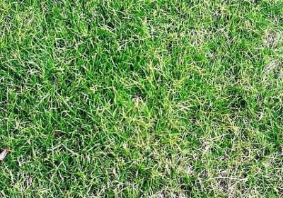 老公过生日的祝福语(优选50句)