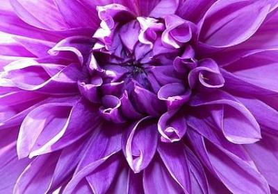 给父亲生日的祝福语(合集40句)