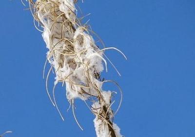 美食祝福语(优选40句)