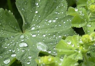 老人过生日的祝福语(共60句)