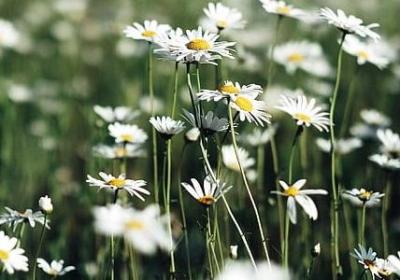 给退休同事的祝福语(汇总40句)