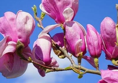 美丽祝福语(优选50句)