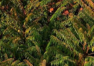 给满月宝宝的祝福语(实用60句)