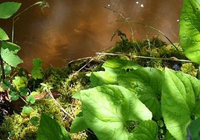 给男朋友祝福语(共40句)