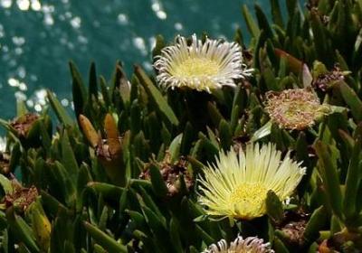 给长辈生日祝福语 简短(推荐60句)