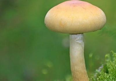 给老同学祝福语(共70句)