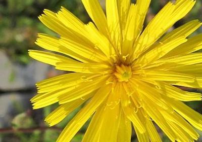 给老板的生日祝福语(优选30句)