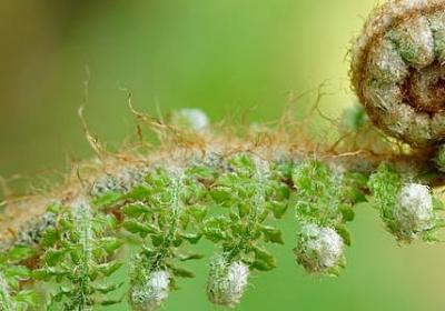 给老人的生日祝福语(必备8句)