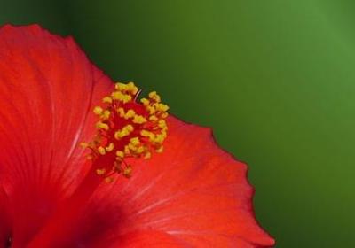 老婆50岁生日祝福语(优选50句)