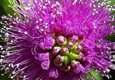 给老人祝寿的祝福语(精选41句)